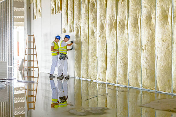 Best Local Insulation Services  in Mocksville, NC